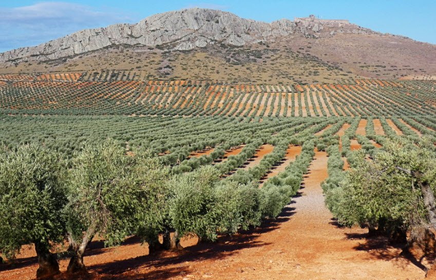 Castillo de Peñas Negras, Spain
